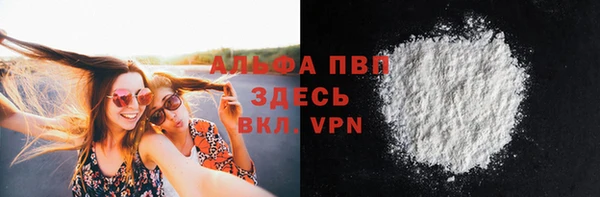 эйфоретик Покачи