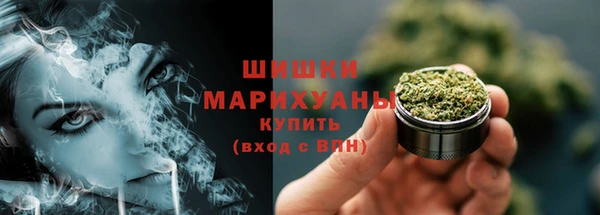 эйфоретик Покачи