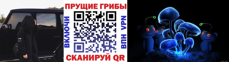Галлюциногенные грибы Psilocybine cubensis  купить   Белебей 