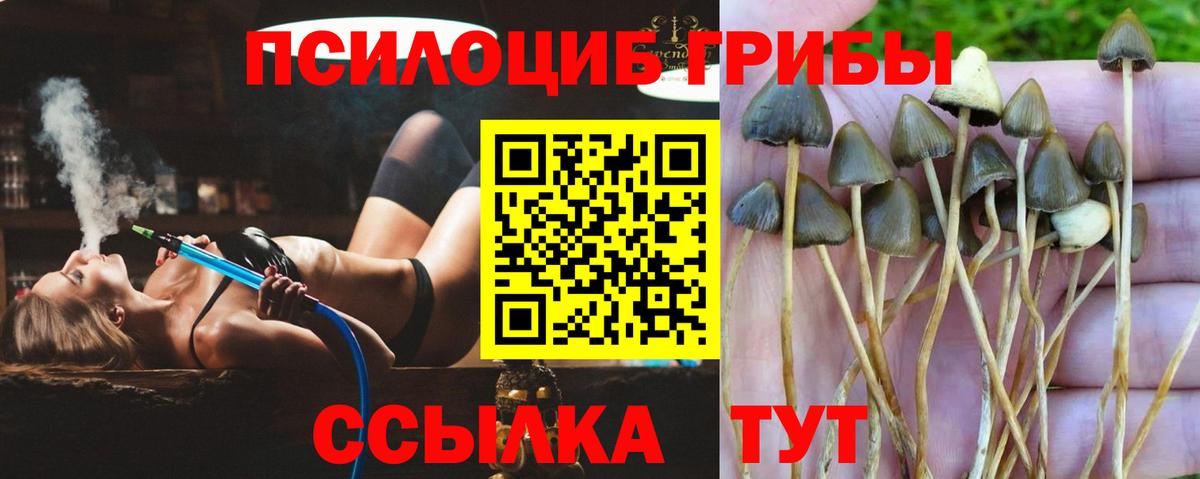 Псилоцибиновые грибы прущие грибы  что такое наркотик  Белебей  Вход с VPN 