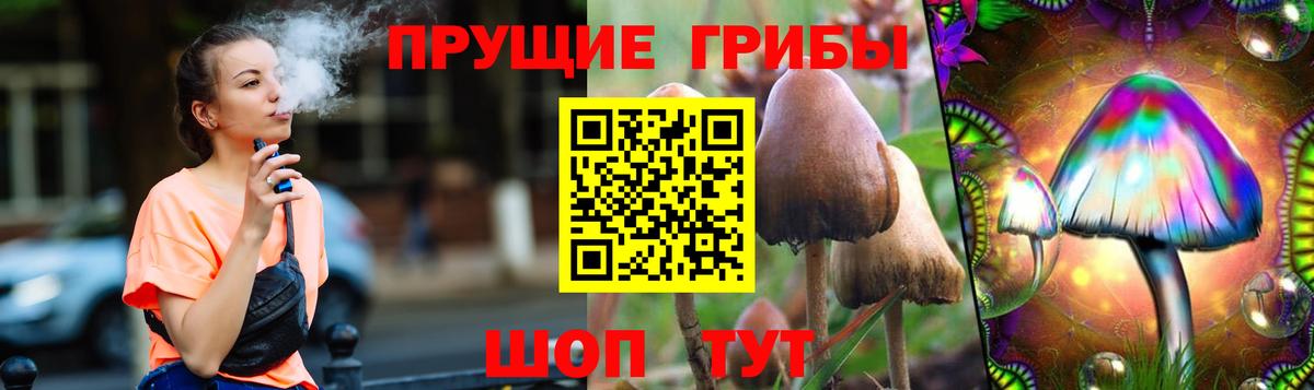 Галлюциногенные грибы прущие грибы Белебей